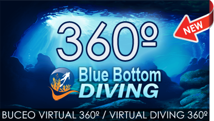 Buceo virtual La Caleta