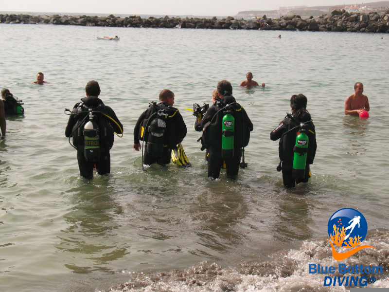 Curso open water aprender a bucear en tenerife