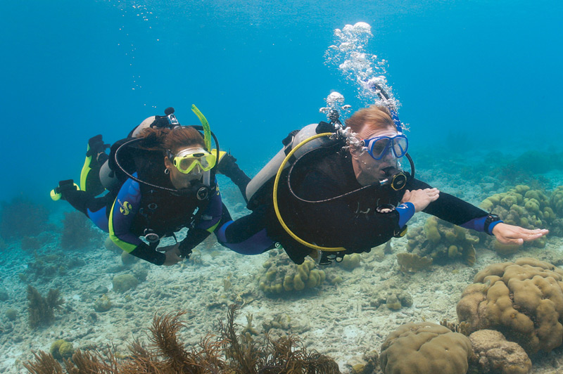 Curso de buceo navegación