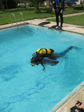 Cursos de Buceo en Tenerife