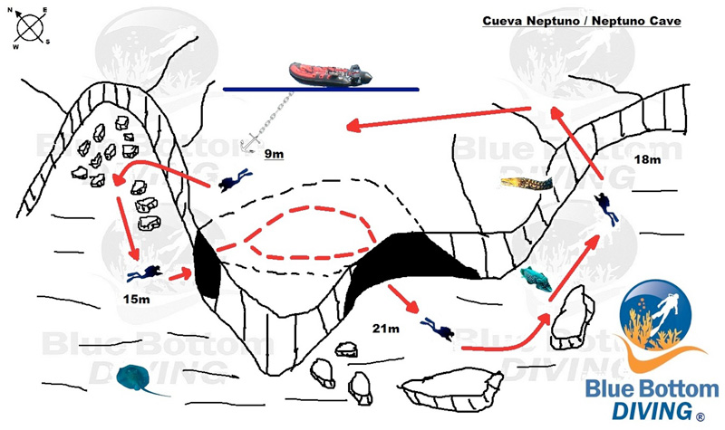 bucear en Cueva Neptuno