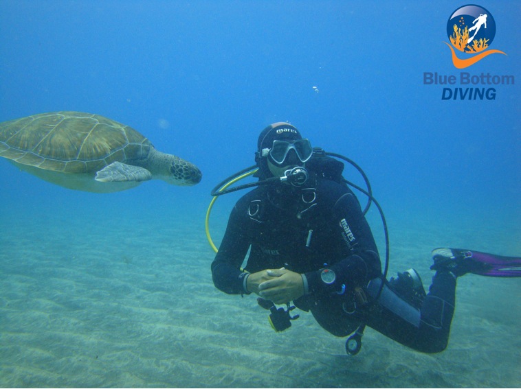 Buceo BlueBottomDiving Tenerife