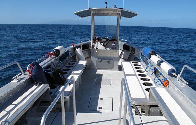 Buceo Tenerife
