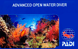 cursos de buceo padi