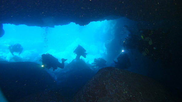 Sitios para bucear tenerife