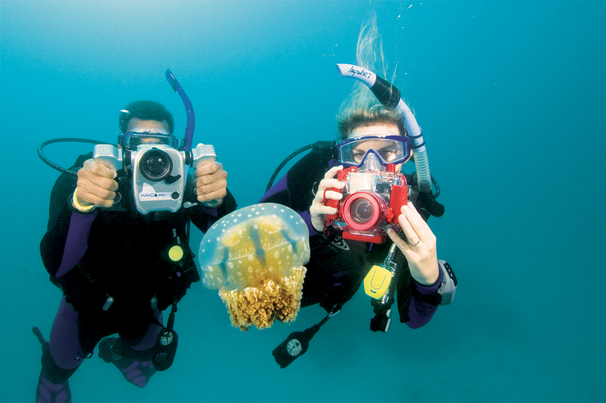 Curso de Fotografia bajo el mar