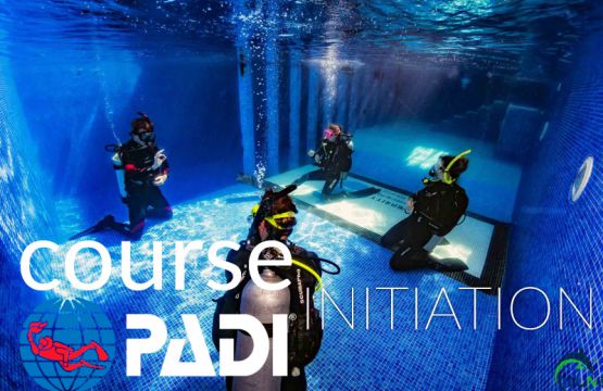 cursos de iniciacion buceo